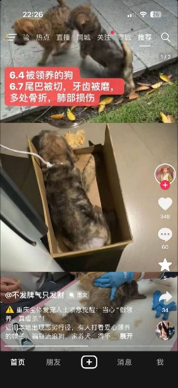 6月7日，重庆，一网友曝光：山姆打包哥 伪装成女性，骗取狗狗领养后、虐杀狗狗