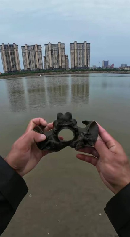 11月8日 湖北 武汉 汉江大桥 钓鱼佬在河边抓泥鳅时捡到一块 神秘骨头 评论区纷纷留言说是人类遗骸，吓得 #钓鱼佬 连夜将骨头送至附近警察局做鉴定 后续 ：视频已全部下架，钓鱼佬一直在评论区发 🙏 人类遗骸无疑感谢来自家人们的投稿！🌸 来源 | 👉 投稿 | 💬 交流群 | 🍒 备用群 | 💕 VPN群11月8日 湖北 武汉 汉江大桥 钓鱼佬在河边抓泥鳅时捡到一块 神秘骨头 评论区纷纷留言说是人类遗骸，吓得 #钓鱼佬 连夜将骨头送至附近警察局做鉴定 后续 ：视频已全部下架，钓鱼佬一直在评论区发 🙏 人类遗骸无疑感谢来自家人们的投稿！🌸 来源 | 👉 投稿 | 💬 交流群 | 🍒 备用群 | 💕 VPN群