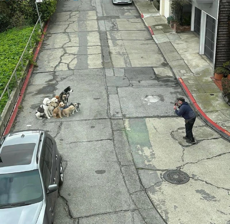 大德鲁伊 #狗子 #合影大德鲁伊 #狗子 #合影