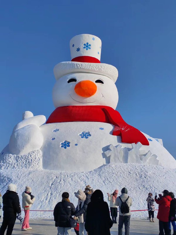 哈尔滨 太阳岛极地馆 #企鹅 巡游 #表演哈尔滨 太阳岛极地馆 #企鹅 巡游 #表演