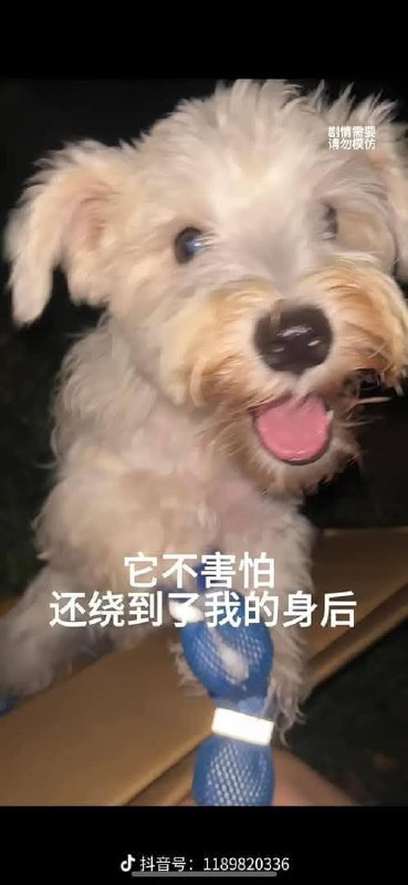 #搞笑 #下集#搞笑 #下集