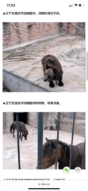 #辽宁动物园讥饿 快断粮 危机🆘#辽宁动物园讥饿 快断粮 危机🆘
