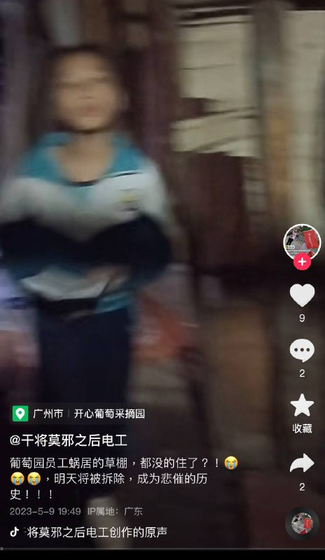 5月10日广州海珠区，郊区种葡萄🍇草棚被 #农管 扒了5月10日广州海珠区，郊区种葡萄🍇草棚被 #农管 扒了