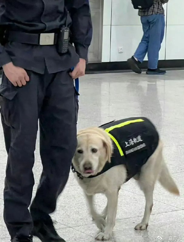 作风优良被通报批评了感谢家人们投稿！作风优良被通报批评了感谢家人们投稿！