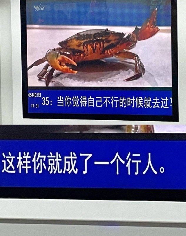 #厦门 地铁🚇的树洞#厦门 地铁🚇的树洞