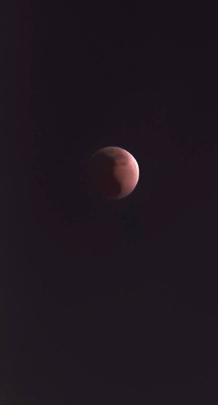 今晚抬头看了吗？元宵夜+月全食，错过再等46年！ #月全食今晚抬头看了吗？元宵夜+月全食，错过再等46年！ #月全食
