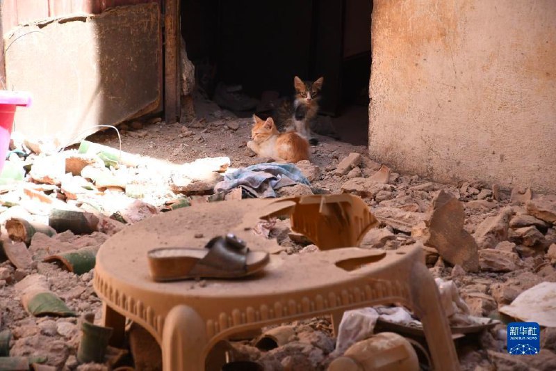 #摩洛哥 内政部9日表示，该国8日深夜发生的强烈 #地震 已造成1037人遇难，1204人受伤，其中721人伤势严重