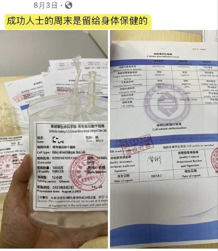 “成功人士的周末是留给身体保健的”我想知道胚胎干细胞怎么提取的?还有为什么柬埔寨生命科学院用简体字?说起来，前段时间有个失业的内地人为了养家糊口，去应聘海员，结果被拐到柬埔寨园区了