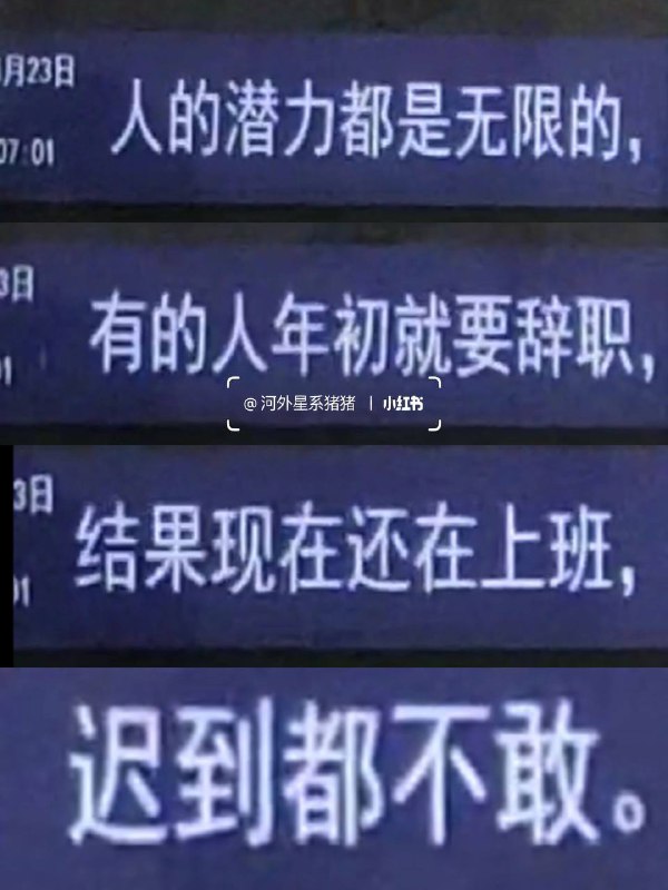 #厦门 地铁🚇的树洞#厦门 地铁🚇的树洞