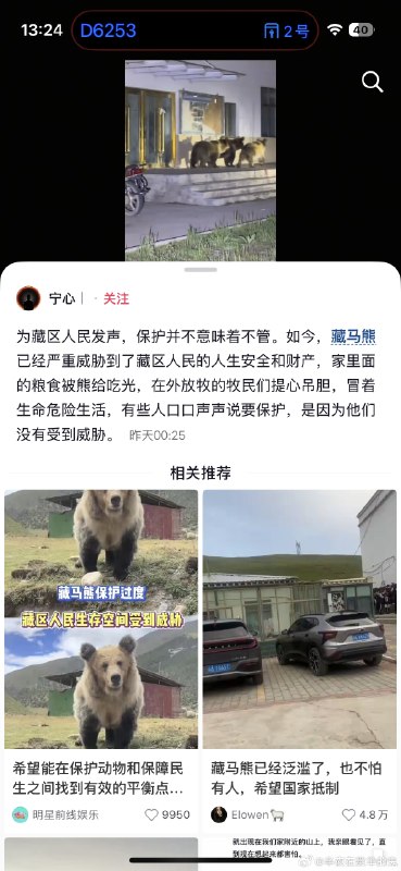 藏马熊吃人，伤人事件屡屡发生，但是藏马熊作为国家保护动物，当地居民只能被动防御，为藏区人民发声，如今，藏马熊已经严重威胁到了藏区人民的人生安全和财产，家里面的粮食被熊给吃光，在外放牧的牧民们提心吊胆，冒着生命危险生活，有些人口口声声说要保护，是因为他们没有受到威胁