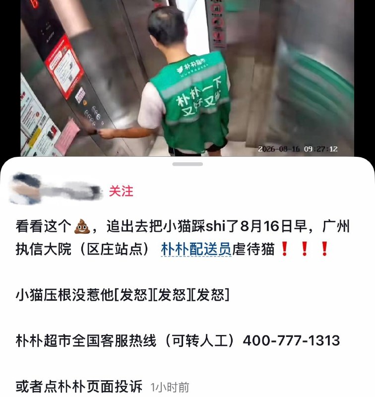 8月16日，广州越秀区执信大院（区庄站点）一名朴朴超市配送员被指虐待猫咪