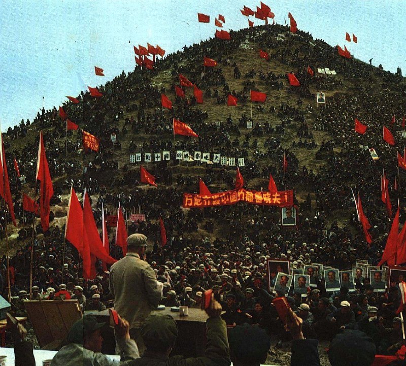 手持《毛泽东语录》的红卫兵对国家主席 #刘少奇 进行批斗