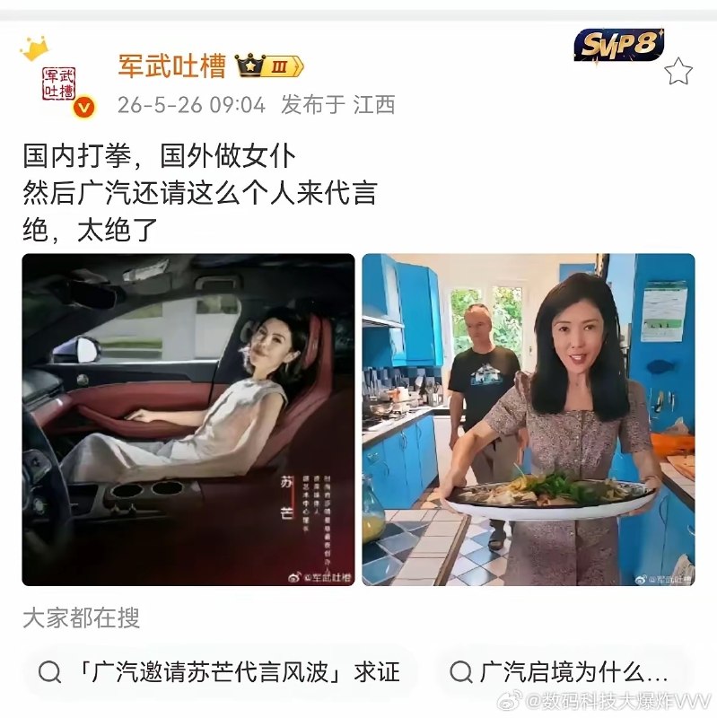 苏芒委托律师事务所对使用“法兰西第一女仆”等标签的网络账号发起诉讼，称长期遭受恶意诽谤