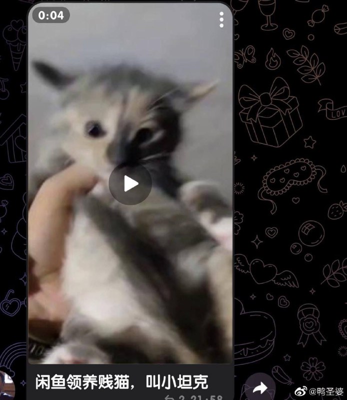 泉州 男子 #虐猫泉州 男子 #虐猫