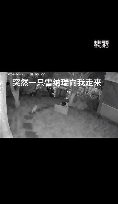 #搞笑 #下集#搞笑 #下集