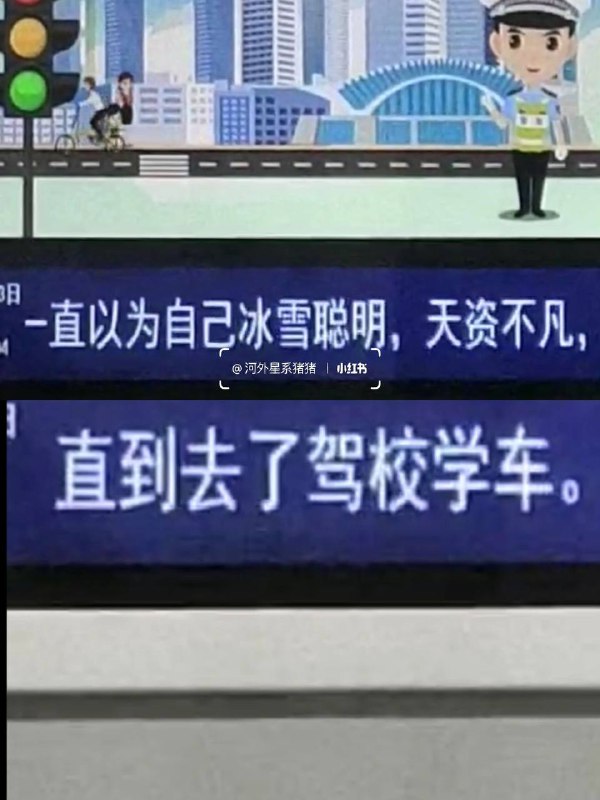 #厦门 地铁🚇的树洞#厦门 地铁🚇的树洞