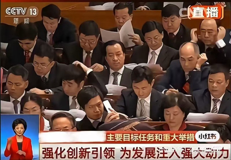 淘气 #雷军 我先 #自拍 🤳 一张