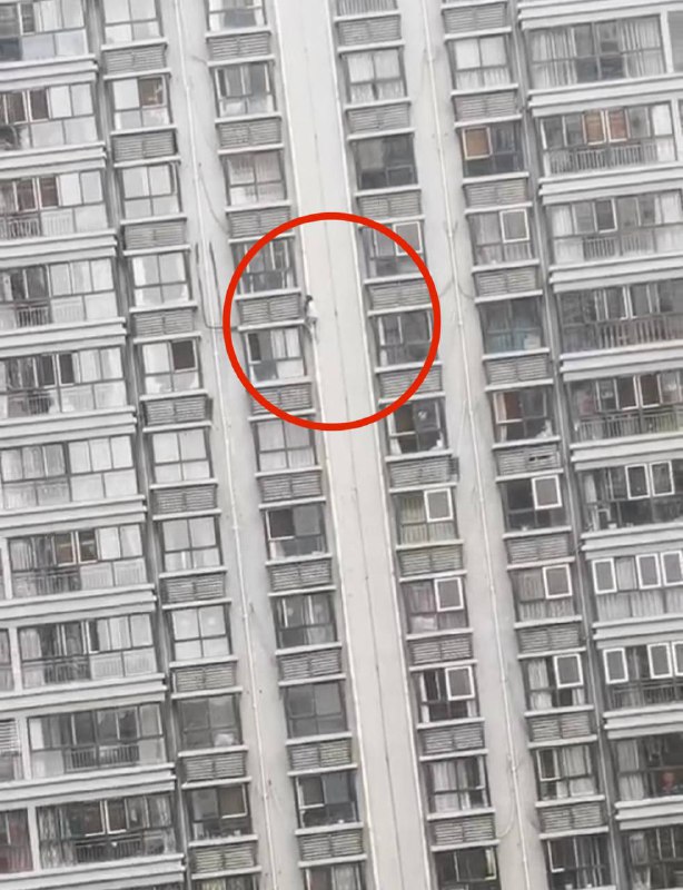 渭南 某小区 女人 #坠楼 #补充 #跳楼 可惜了 🌚渭南 某小区 女人 #坠楼 #补充 #跳楼 可惜了 🌚