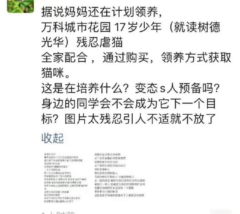 成都17岁 #虐猫 男生by 匿名投稿成都17岁 #虐猫 男生by 匿名投稿