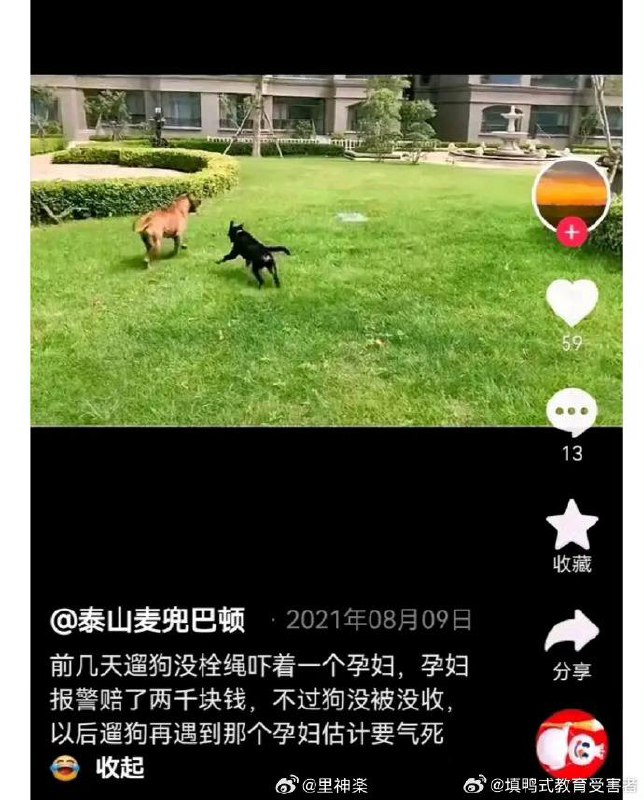 好烦啊 上门 #抓狗 🐶好烦啊 上门 #抓狗 🐶