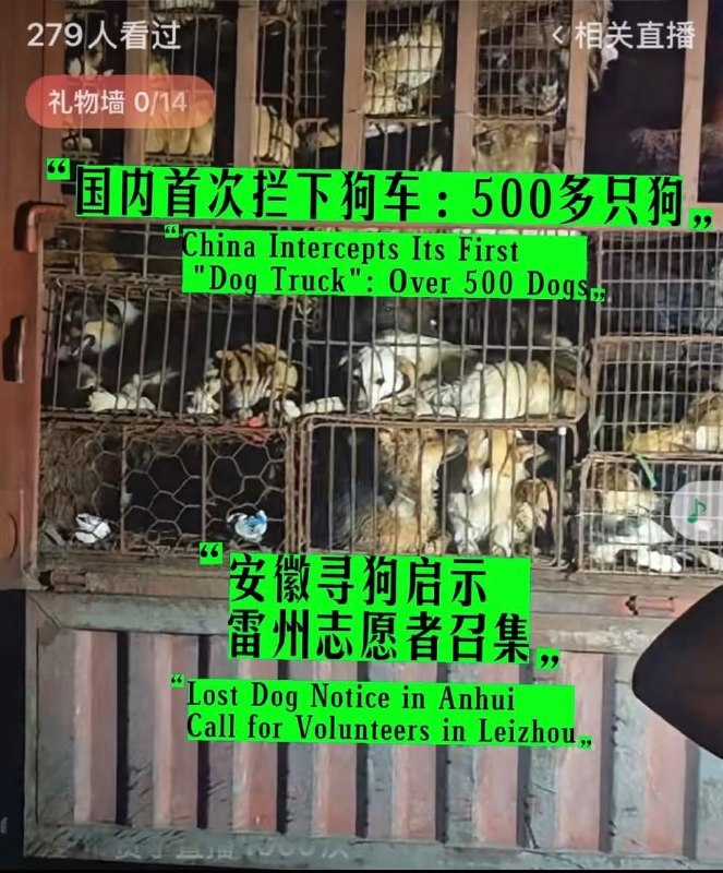 国内首次拦住狗车，500只狗，还是拦住两次，我以为动物保护会有里程碑的胜利，结果呢？志愿者连夜追赶，全群报警，拦下两次，又被警察放行到农业局，说要无害化处理农业局，不让志愿者跟随