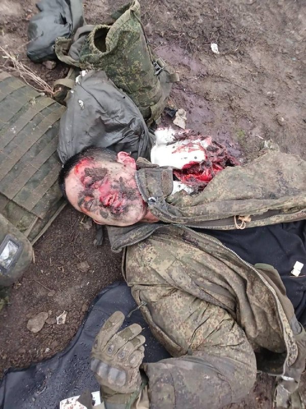 朝鲜营的新鲜肥料