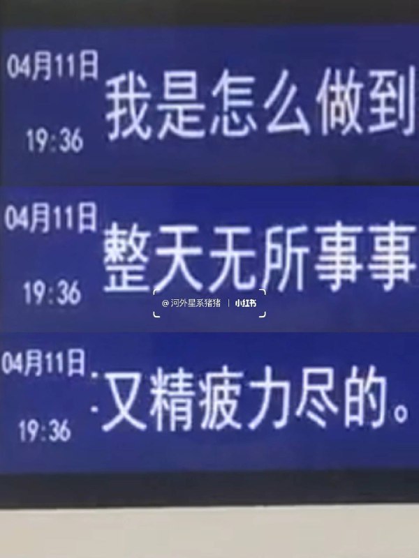 #厦门 地铁🚇的树洞#厦门 地铁🚇的树洞
