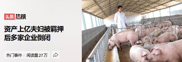 2016年，企业家王飞被招商引资到河南省驻马店市新蔡县产业集聚区