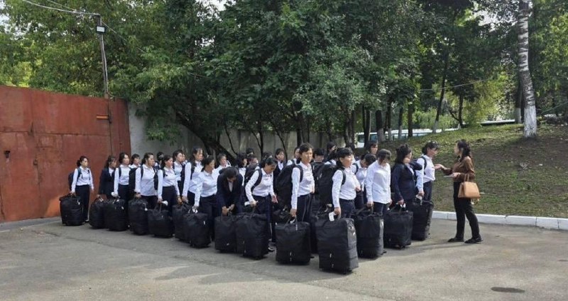 大批朝鲜女性工人正在抵达俄罗斯女工将被安排在生产流水线、服装厂、厨房以及农场工作，承诺的工资起薪为每小时480卢布（约40元人民币）