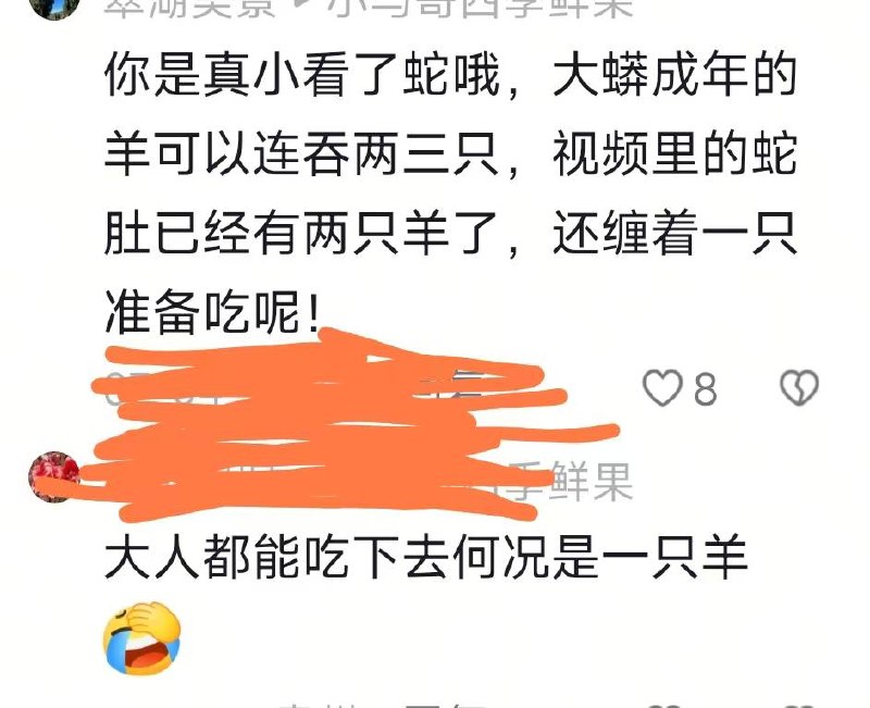 蟒蛇偷吃羊被抓，听方言应该是梅州五华客家人感谢家人们投稿！蟒蛇偷吃羊被抓，听方言应该是梅州五华客家人感谢家人们投稿！