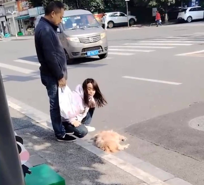 四川 绵阳，这哭得撕心裂肺的