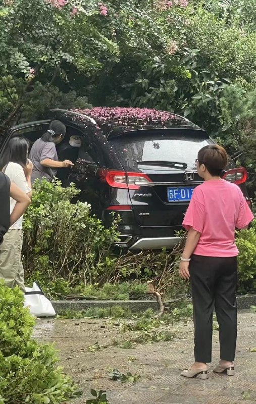 30日，江苏 #南通，海安中洋高尔夫，女司机一脚油门，把小区后门撞毁了，一头栽进花圃中，看这距离，当时这速度也太快了
