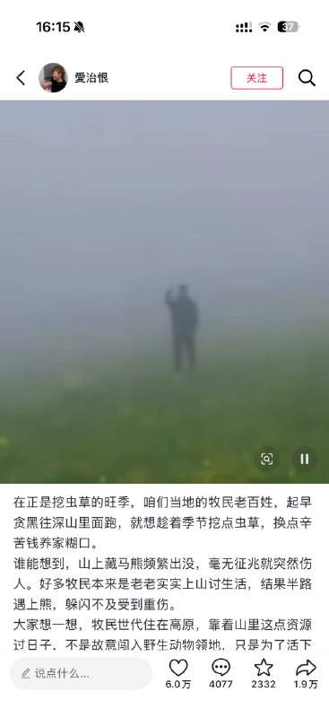 藏马熊吃人，伤人事件屡屡发生，但是藏马熊作为国家保护动物，当地居民只能被动防御，为藏区人民发声，如今，藏马熊已经严重威胁到了藏区人民的人生安全和财产，家里面的粮食被熊给吃光，在外放牧的牧民们提心吊胆，冒着生命危险生活，有些人口口声声说要保护，是因为他们没有受到威胁