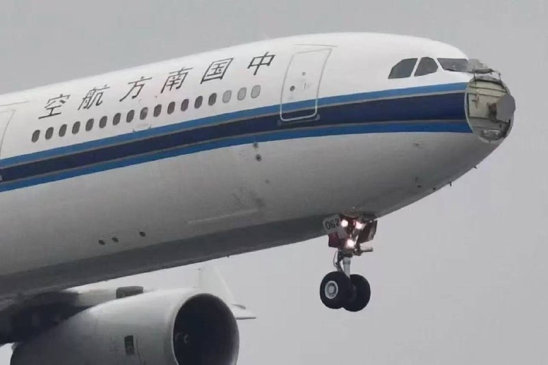 3月21日，由 上海 虹桥 机场飞往深圳宝安机场的南航CZ3554次航班遭遇 撞鸟 #事件 导致紧急返航 #飞机 机头处的雷达罩撞碎脱落