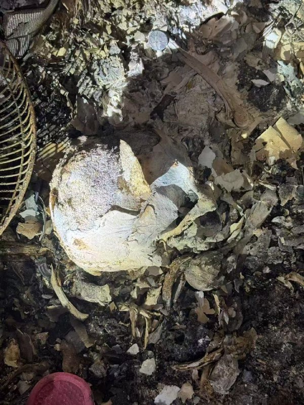 消防 及 警方 进入 #火灾 遗址 搜证 #尸体#火灾 #恐怖 香港 🇭🇰 大火 #事件 #后续#香港 #火灾 大火 最新遇难人数公布遇难者 增至151人警方 哽咽 介绍搜救进展：部分遗体化为灰烬或未必完整...感谢家人们投稿！消防 及 警方 进入 #火灾 遗址 搜证 #尸体#火灾 #恐怖 香港 🇭🇰 大火 #事件 #后续#香港 #火灾 大火 最新遇难人数公布遇难者 增至151人警方 哽咽 介绍搜救进展：部分遗体化为灰烬或未必完整...感谢家人们投稿！