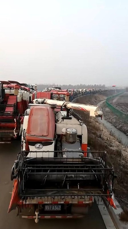 小麦收割机扣押在高速收费站，河南南阳、河南各地高速每天几百台收割机因超宽超高无法下高速，查超宽、超高，查收割机各种作业证