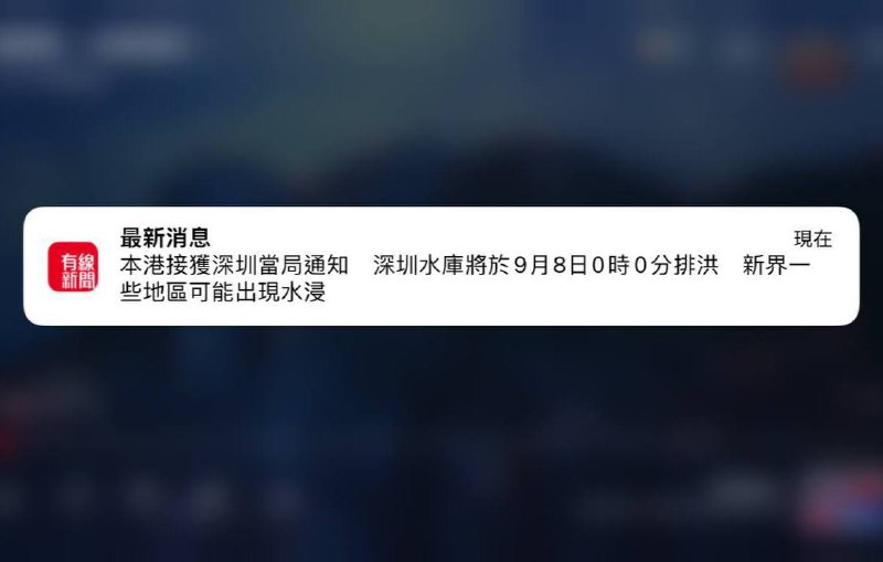 #深圳 #香港#深圳 #香港