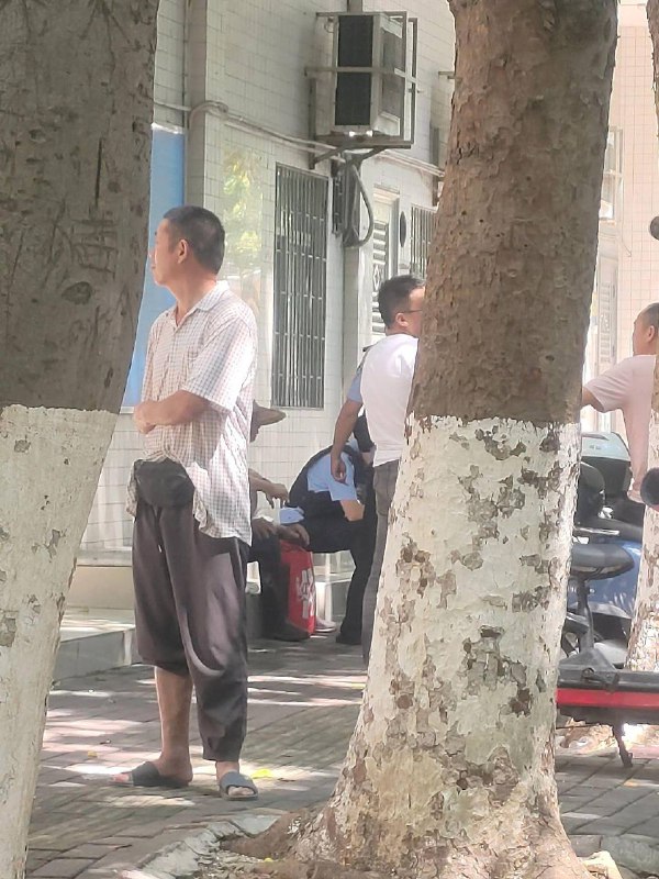 8月31日广东 #茂名，农村人养牛，牛棚被强拆了，就把牛拉到市政府门口抗议