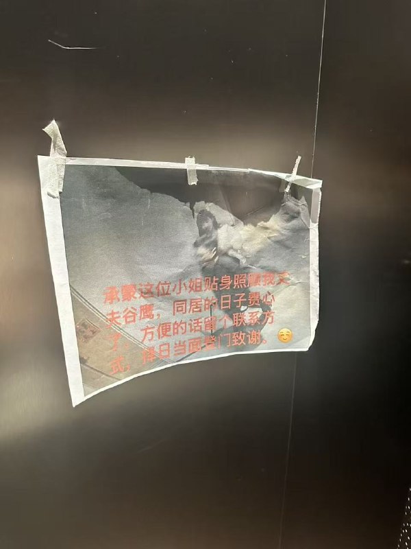 极氪汽车某高管出轨了下属的下属，老婆知道后来公司大闹