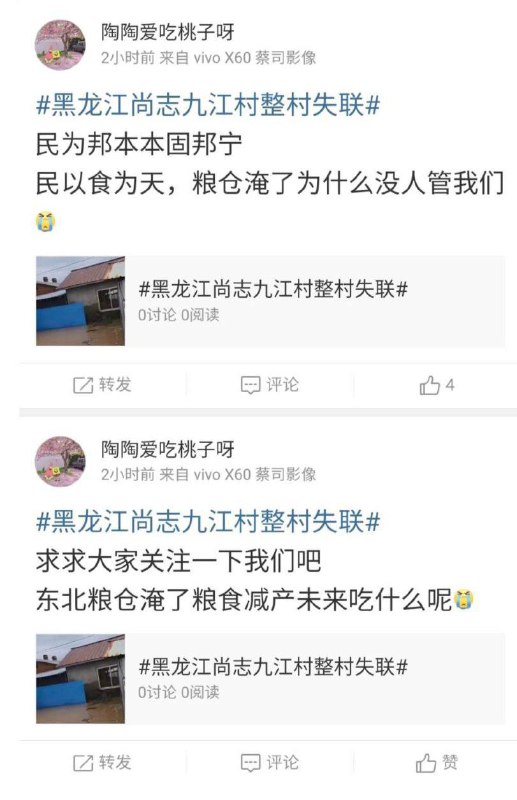 #墙国铁拳现世报#墙国铁拳现世报