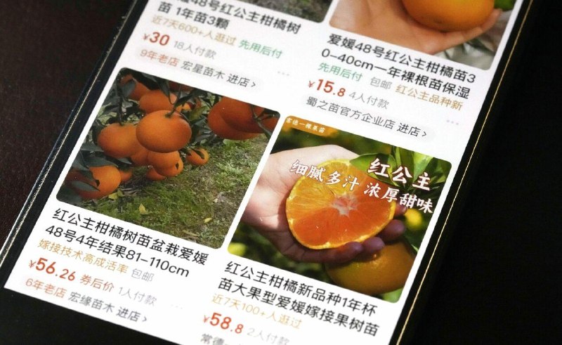 防中国窃取 日本农水省将设立新机构保护名牌种苗专利鉴于名牌水果等农作物相继流向海外，日本农林水产省将在8月底前设立管理种苗专利的新专门机构