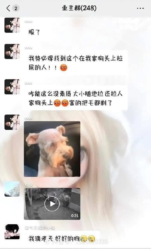 #搞笑 #下集#搞笑 #下集