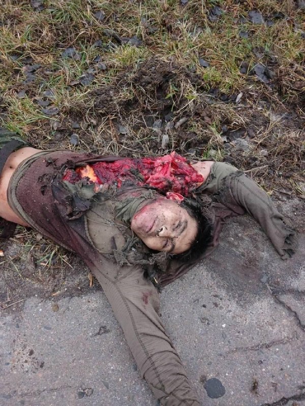 朝鲜营的新鲜肥料