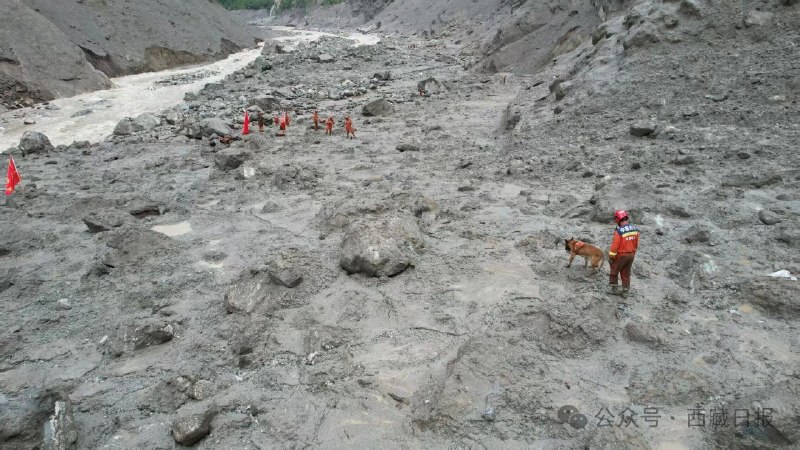 西藏吉隆口岸大楼只剩钢筋骨架8月29日清晨，应急管理部、国家消防救援局调派的中国救援队四川省消防救援总队成都陆地搜救重型队，持续在吉隆口岸泥石流灾害现场开展废墟搜寻