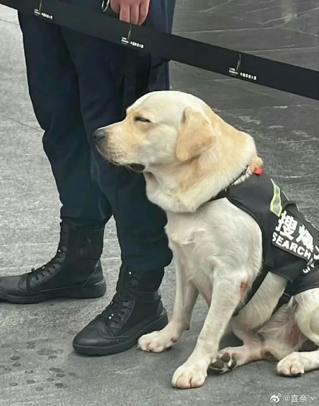 作风优良被通报批评了感谢家人们投稿！作风优良被通报批评了感谢家人们投稿！