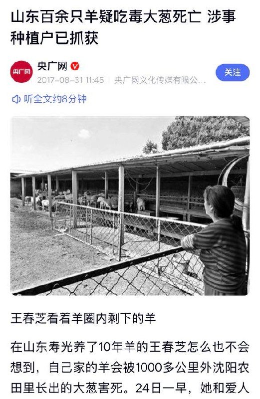 最近大家都在讨论甲醛白菜，我想起一件我亲身经历的趣事来