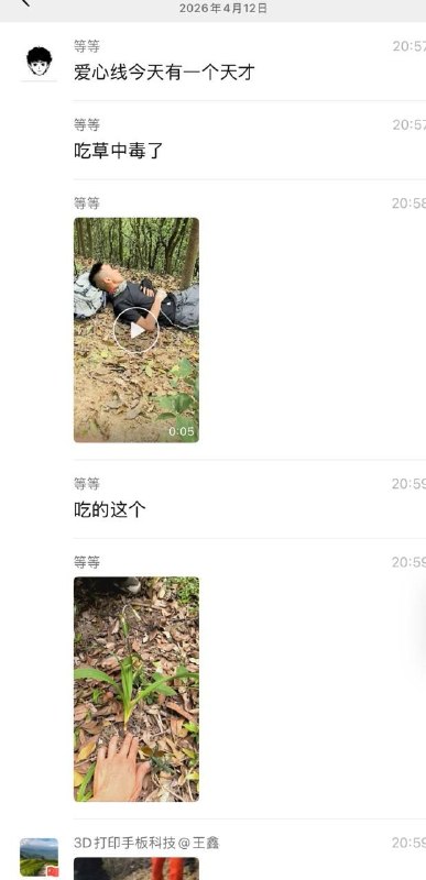 喜欢嘴里叼根草玩的兄弟们注意了 有毒 植物 #中毒感谢家人们投稿！喜欢嘴里叼根草玩的兄弟们注意了 有毒 植物 #中毒感谢家人们投稿！