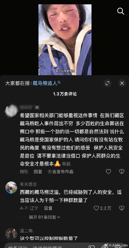 藏马熊吃人，伤人事件屡屡发生，但是藏马熊作为国家保护动物，当地居民只能被动防御，为藏区人民发声，如今，藏马熊已经严重威胁到了藏区人民的人生安全和财产，家里面的粮食被熊给吃光，在外放牧的牧民们提心吊胆，冒着生命危险生活，有些人口口声声说要保护，是因为他们没有受到威胁