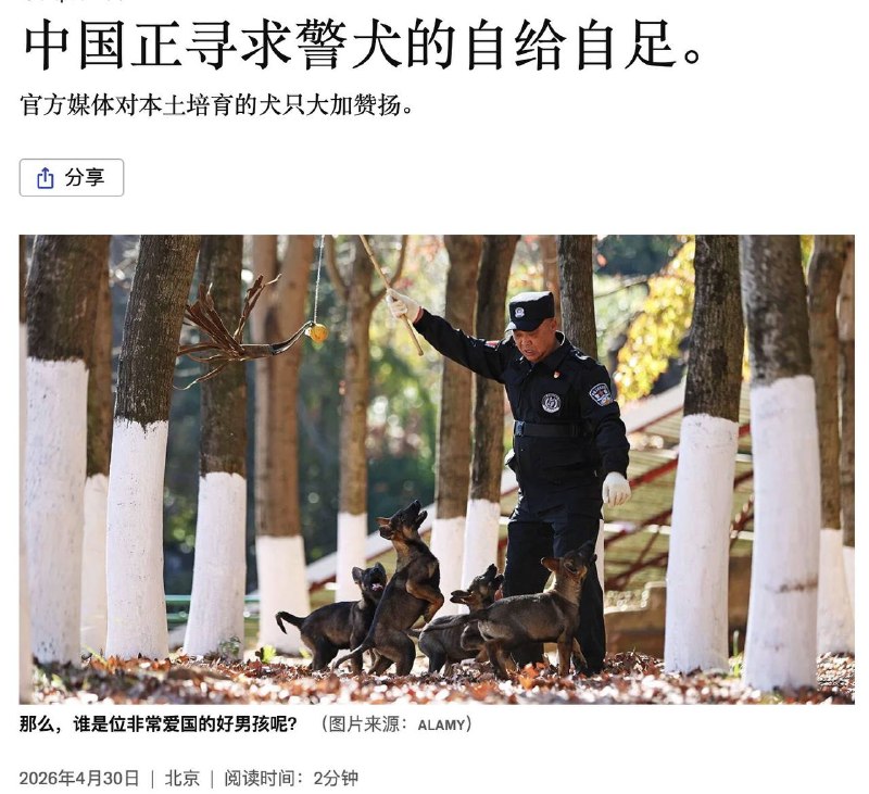 国内连警犬也要