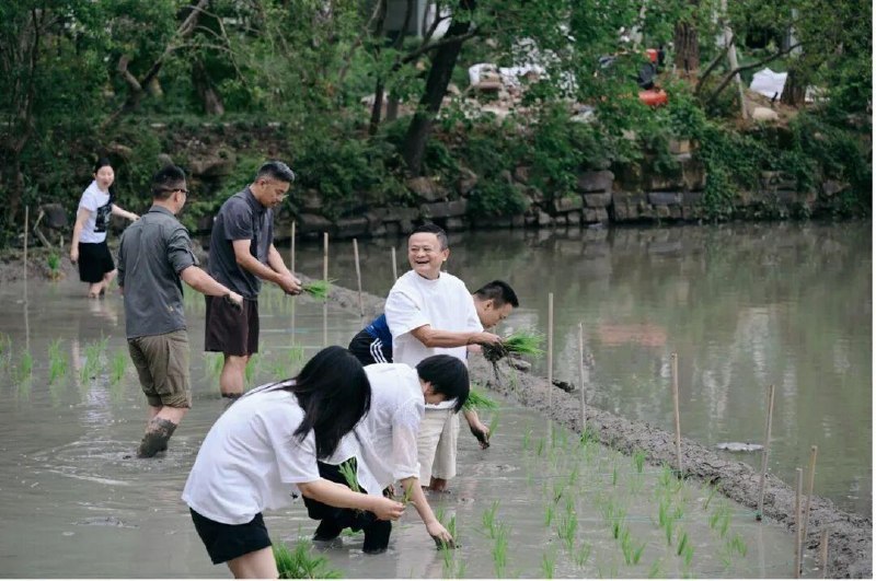 马云带队阿里高管集体下田插秧22 日，一张照片在阿里内网刷屏了，马云、吴泳铭、蒋凡、周靖人等阿里和蚂蚁的十几位核心管理层，挽起裤腿、光着脚丫，在杭州郊外的一片水田里插秧